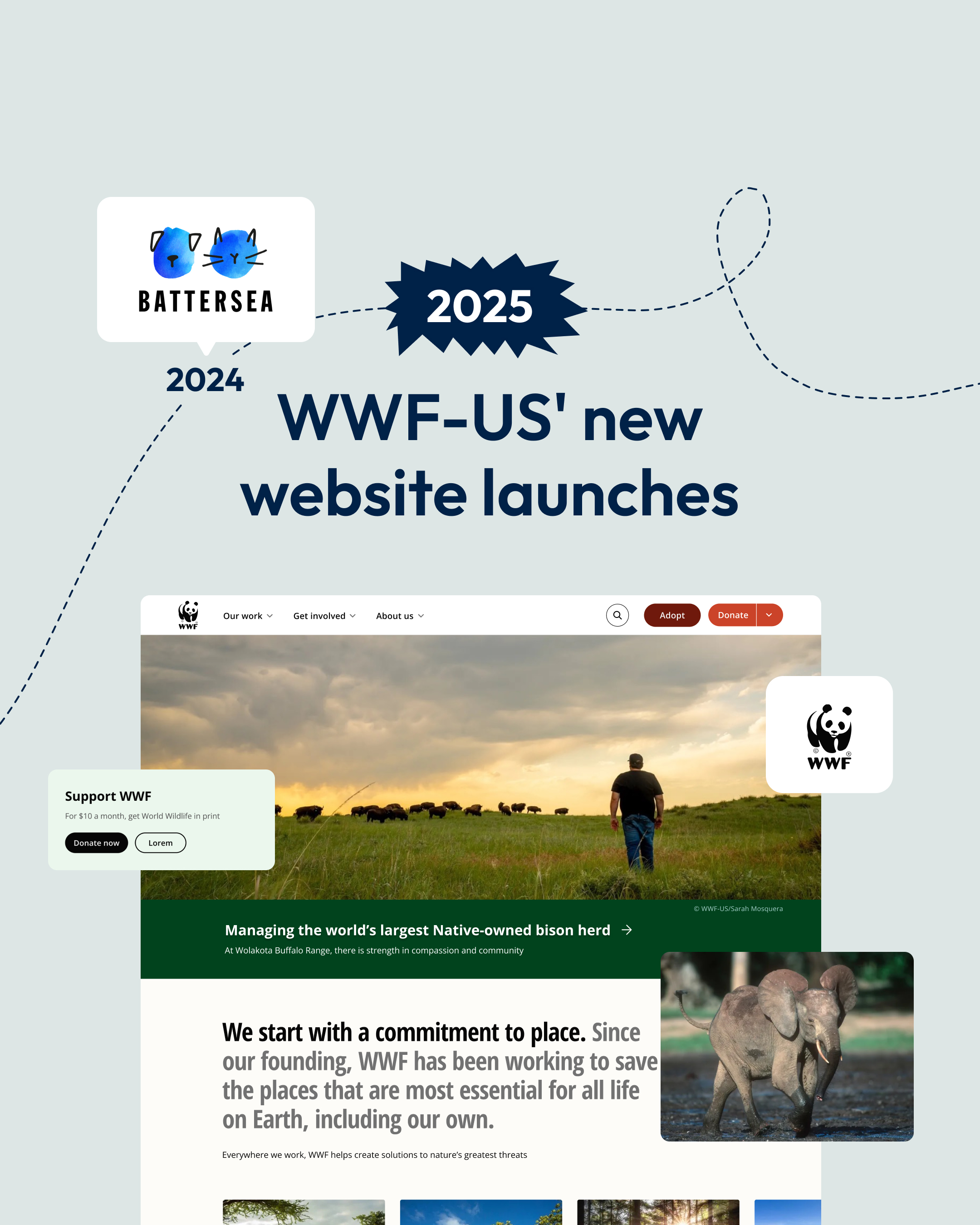 A soft grey slide reading “2025 - WWF-US' new website launches”, with a large homepage screenshot showing wildlife imagery. The Battersea Dogs & Cats Home logo appears as a 2024 milestone.